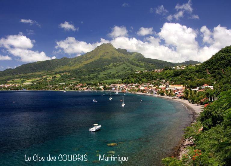 Lodge Colibris Piscine Privee Vue Panoramique Mer Et Montagne Pelee , 500 M Plage Dans Un Parc , Calme Assure Ideal Pour Decouvrir Le Nord Caraibes Le Carbet Kültér fotó
