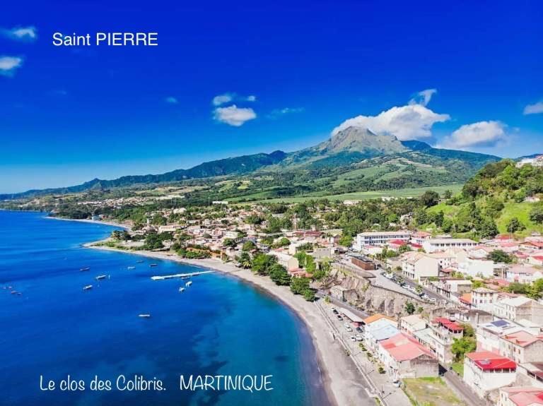 Lodge Colibris Piscine Privee Vue Panoramique Mer Et Montagne Pelee , 500 M Plage Dans Un Parc , Calme Assure Ideal Pour Decouvrir Le Nord Caraibes Le Carbet Kültér fotó